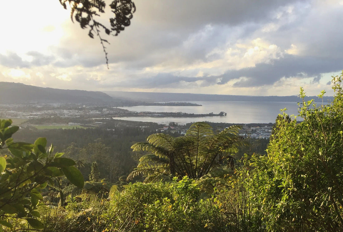 2023 Report to Stakeholders