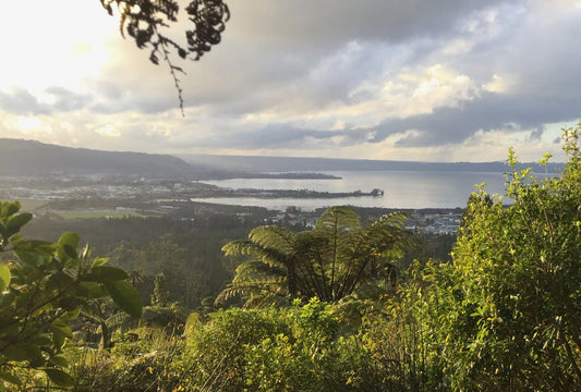 2023 Report to Stakeholders