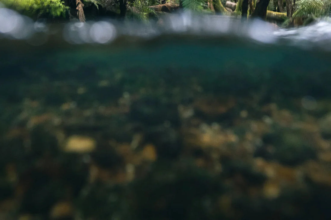 Perseverance and cold feet