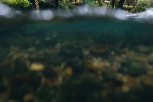 Perseverance and cold feet